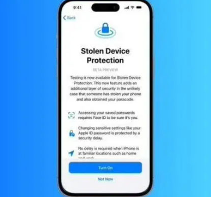 南郊苹果授权维修店分享被盗设备保护功能开启方法 