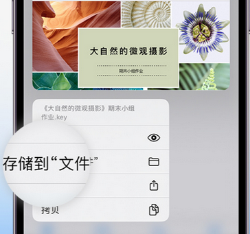 南郊apple维修中心分享iPhone文件应用中存储和找到下载文件