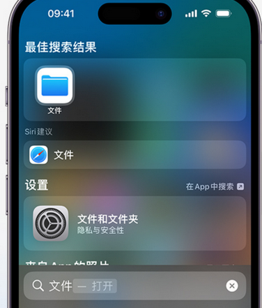 南郊apple维修中心分享iPhone文件应用中存储和找到下载文件 