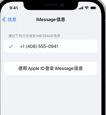 南郊apple维修iPhone上无法正常发送iMessage信息 