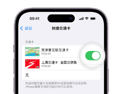 南郊apple维修点分享iPhone上更换Apple Pay快捷交通卡手绘卡面 