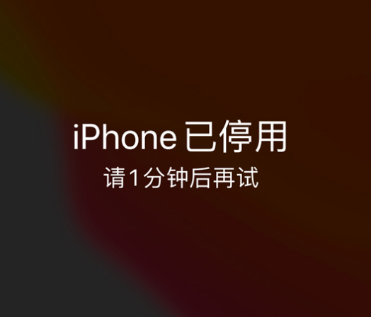 南郊苹果手机维修分享:iPhone 显示“不可用”或“已停用”怎么办？还能保留数据吗？ 