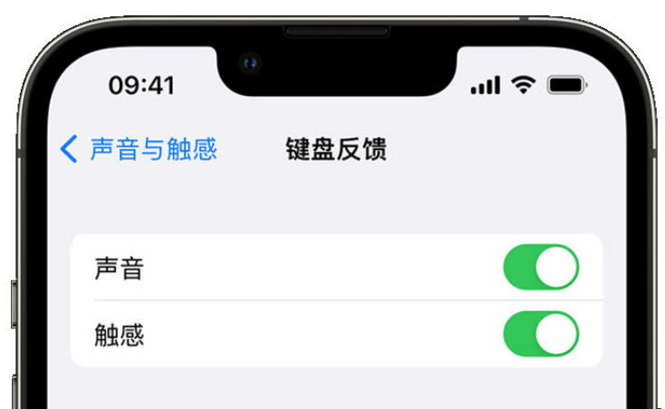 南郊苹果手机维修分享iPhone 14触感键盘使用方法 