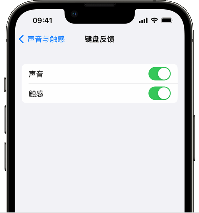 南郊苹果14维修店分享如何在 iPhone 14 机型中使用触感键盘 