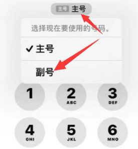 南郊苹果14维修店分享iPhone 14 Pro Max使用副卡打电话的方法 