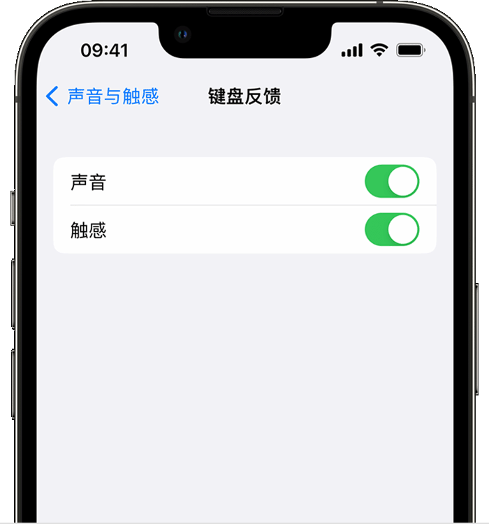 南郊苹果14维修分享iPhone 14 系列机型如何开启键盘声音或触感反馈 
