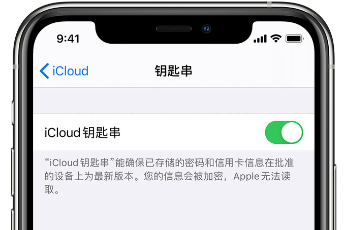 南郊苹果手机维修分享在 iPhone 上开启 iCloud 钥匙串之后会储存哪些信息 