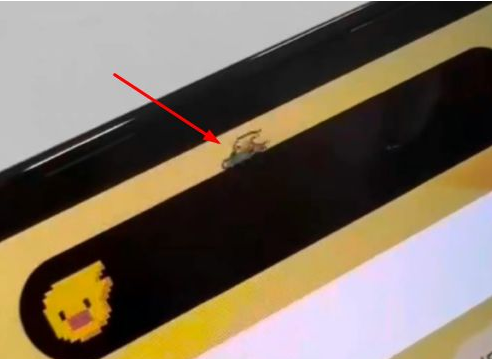 南郊苹果14维修分享iPhone 14 Pro Max灵动岛怎么养宠物 