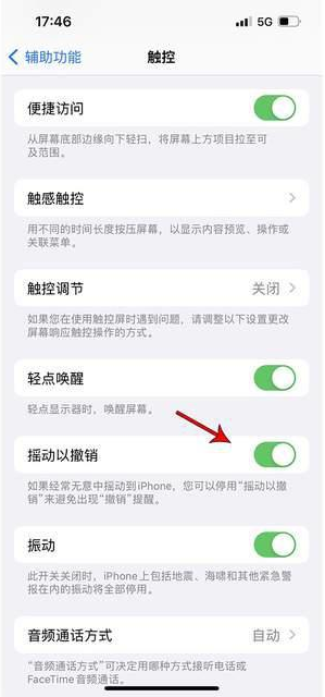 南郊苹果手机维修分享iPhone手机如何设置摇一摇删除文字 