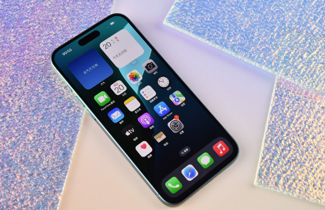 南郊苹果手机维修分享为什么大家不喜欢苹果iPhone 16 Plus 