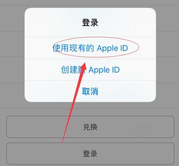 南郊苹果手机维修分享两台iPhone设备可以同时登录一个Apple ID吗 