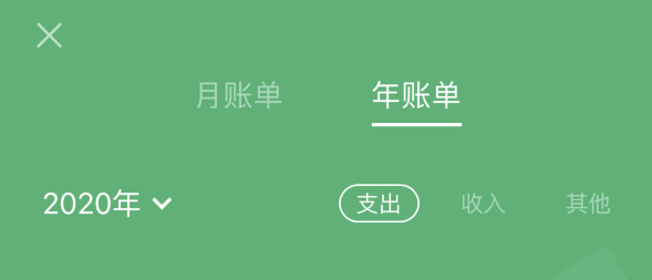 南郊苹果手机维修分享如何在 iPhone 上查看支付宝和微信年支出账单 