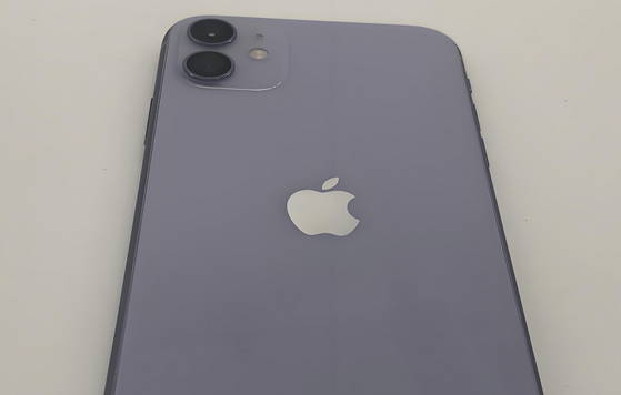 南郊苹果11系统维修分享iPhone11手机系统崩溃无法开机如何解决 